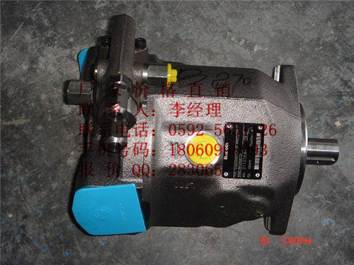 a10vso71dr/31r-ppa12  A10V柱塞泵