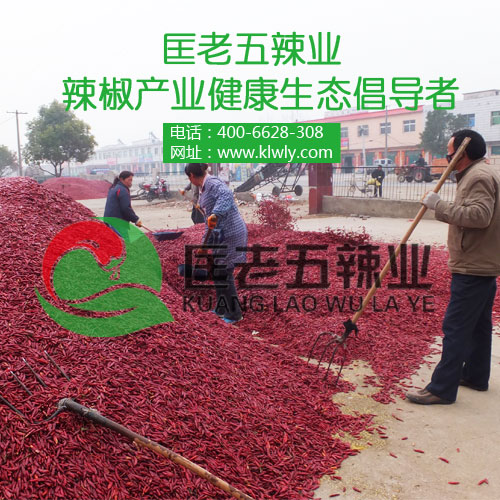干辣椒市场供需情况，匡老五辣业为你解析