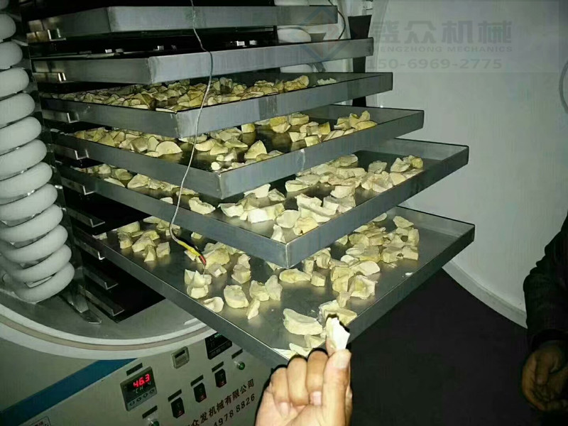珍贵药材虫草真空冻干机 即食燕窝真空冻干机  大型果蔬真空冻干机  燕窝真空冷冻干燥机  药品真空冻干设备