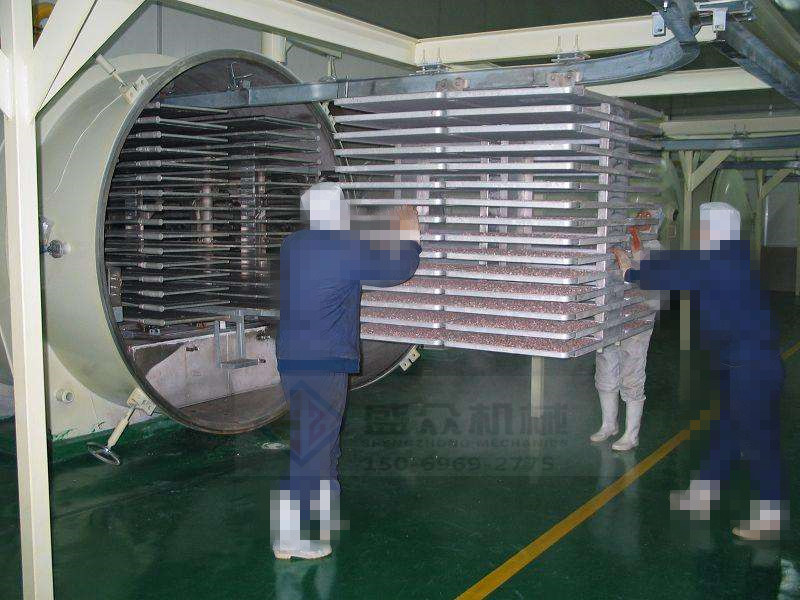 榴莲干真空冻干机 果蔬脆片真空冻干机  猕猴桃冻干机  嘎嘣脆水果冻干设备  桑葚真空冷冻干燥机
