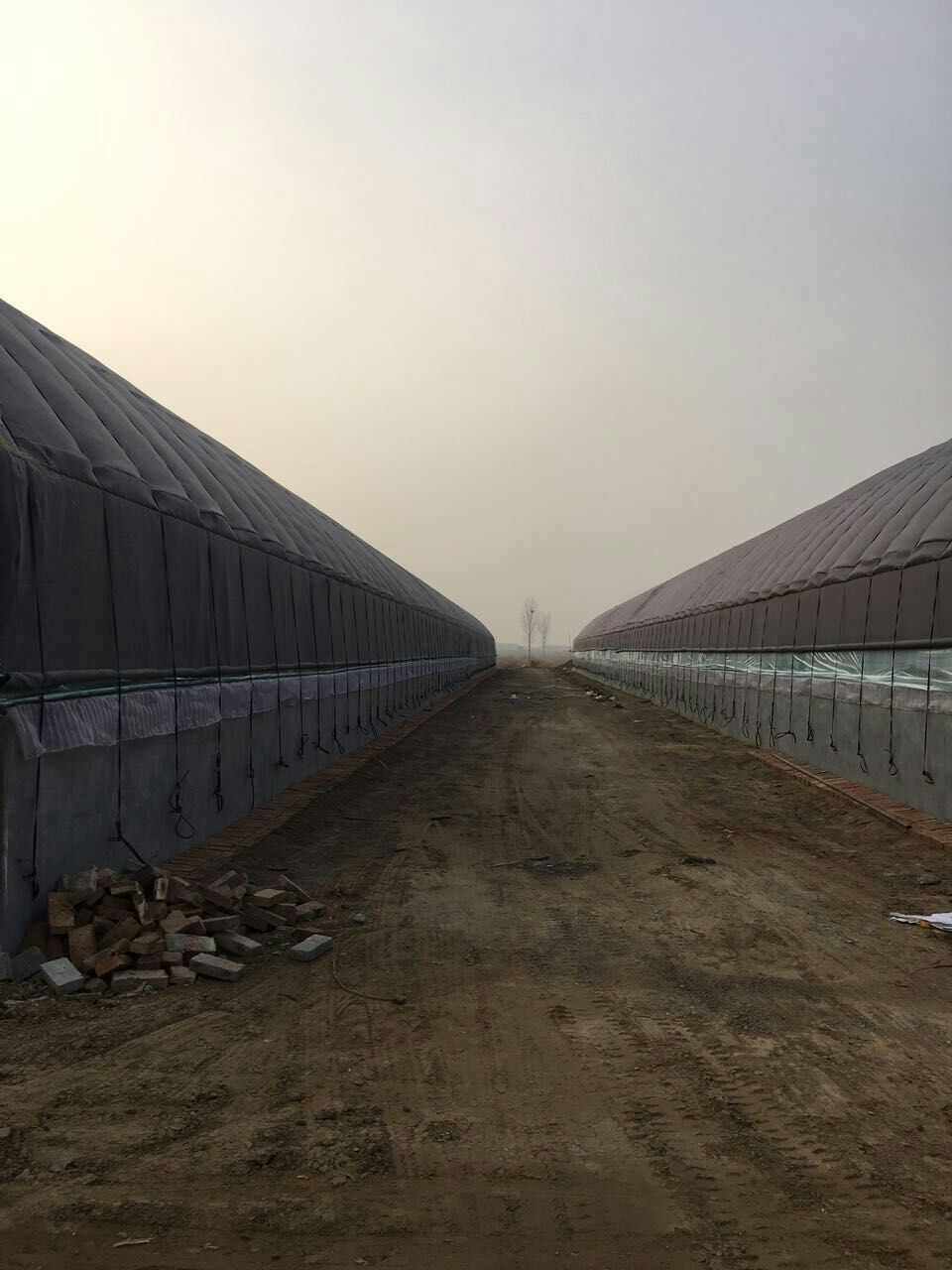 板房拱棚配件提供  养殖大棚
