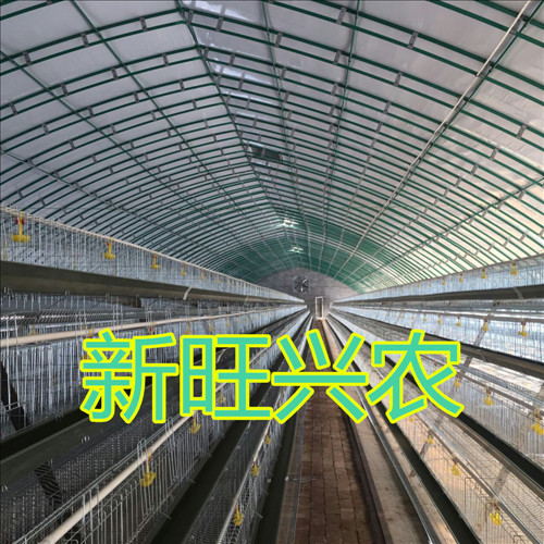 养殖大棚造价  种植大棚  钢架大棚