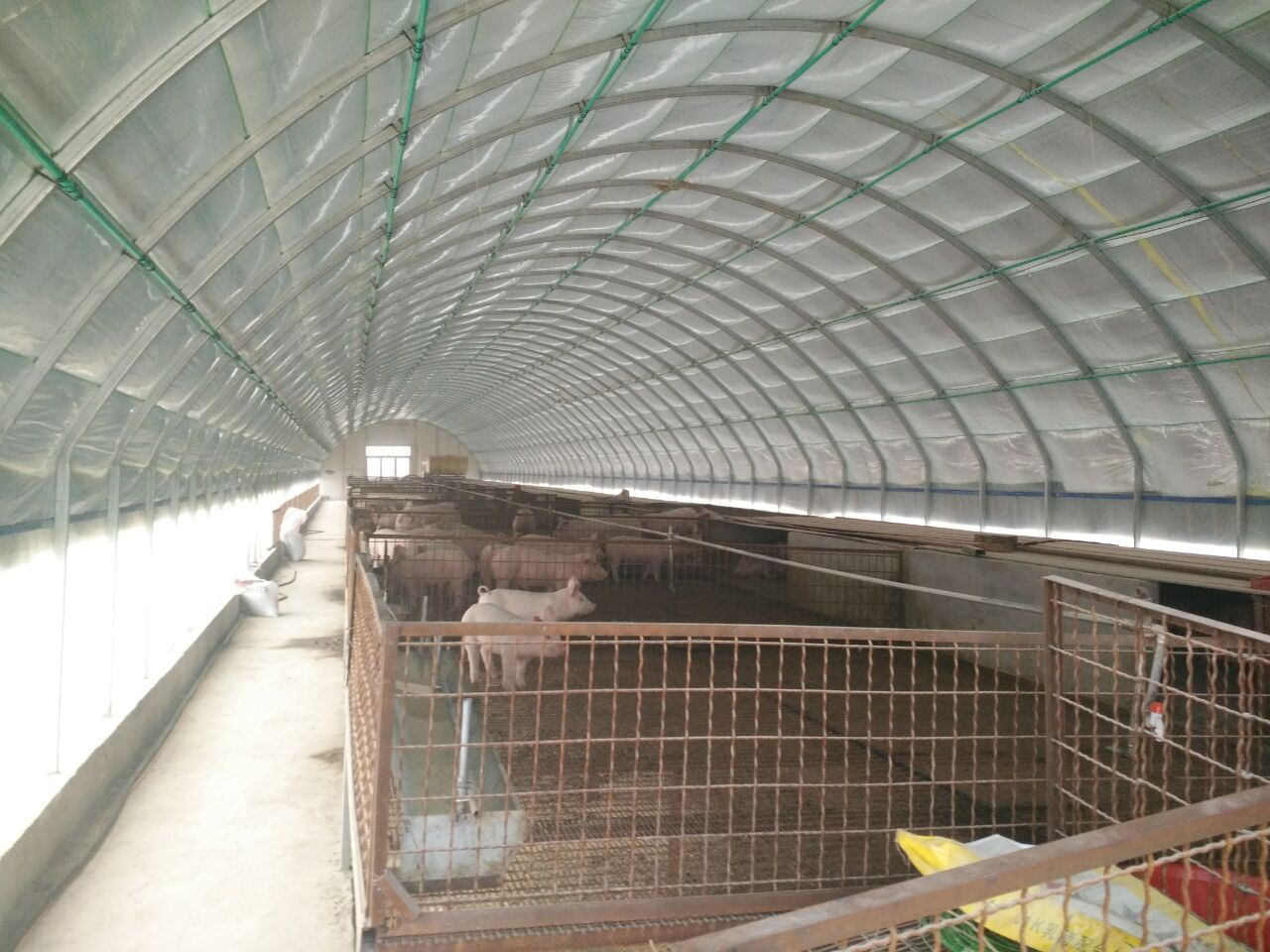 鸡舍猪舍保温棚  养殖大棚  保温板房  大棚骨架