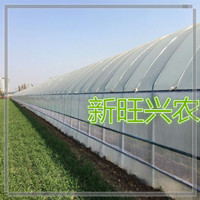 养殖大棚骨架安装  种植大棚  钢架大棚