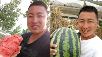 西瓜苗怎么施肥？苗期管理方法  液体水溶肥  福进门水溶肥