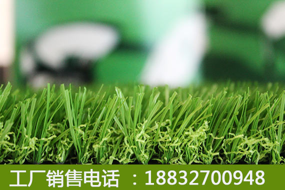 人工草坪河北秦皇岛单价