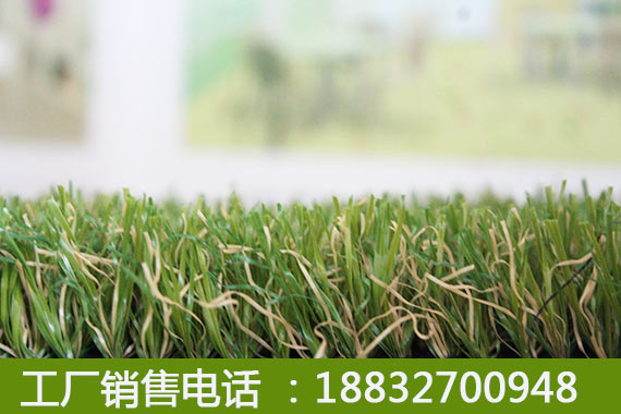 室外人造草坪七台河公司