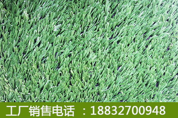 人工草坪足球场贵港铺设视频