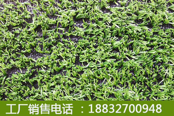 楼顶人造草坪绵阳厂家哪家好
