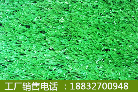人造草坪运动场威海价格查询
