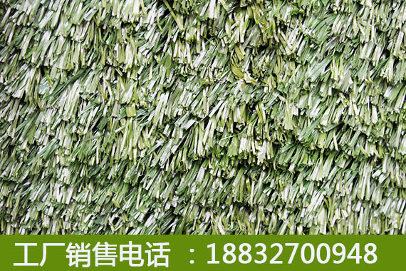 楼顶人造草坪滨州有毒吗