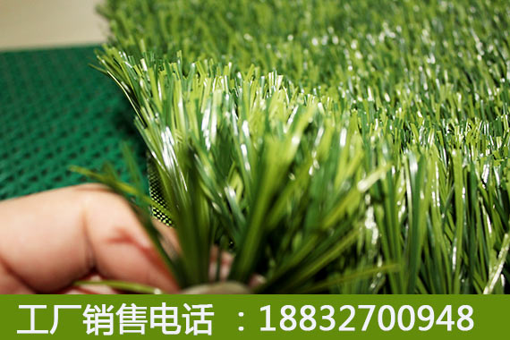 人造草坪彩色佳木斯品牌
