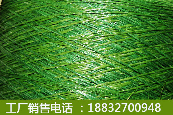 人造草坪进口大庆施工