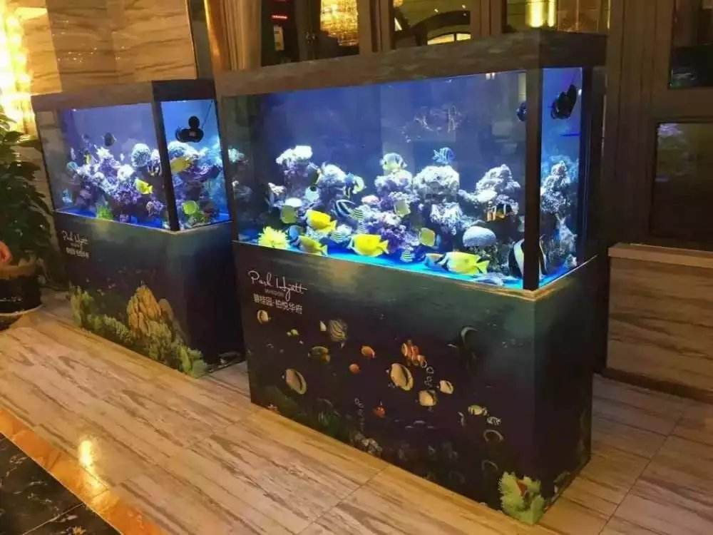 海洋展出租市场|郑州哪家各种鱼类展现公司