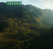 衡阳家用电梯厂家有哪些？衡阳家用电梯厂家排行榜