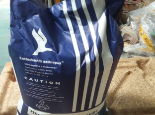 供应英国好利得群青08/5008,蓝色群青5008,万水化工