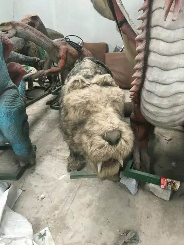 广东供应恐龙展出租仿真恐龙展租赁侏罗纪恐龙出租厂家  恐龙模型厂家