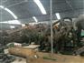 周口市恐龙展出厂家_出租仿真恐龙模型恐龙展出租