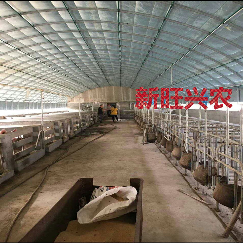 保温鸡舍猪舍&nbsp;&nbsp;养殖大棚&nbsp;&nbsp;种植大棚&nbsp;&nbsp;钢架大棚