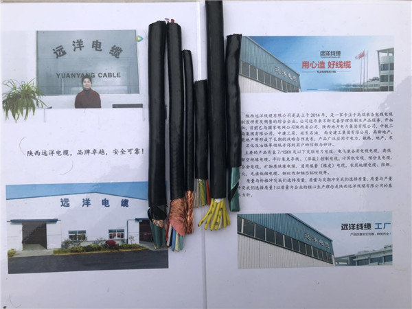 陇南市煤矿用屏蔽电缆价格对比