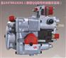 5010-TEREX33-03矿用车发动机PT燃油泵总成