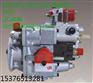 K2010-300KW发动机PT燃油泵总成3060949
