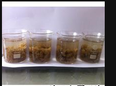 广东聚丙烯酰胺生产厂家，水处理PAM生产厂家  广东聚丙厂家  水处理PAM价格