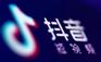 抖音粉丝购买