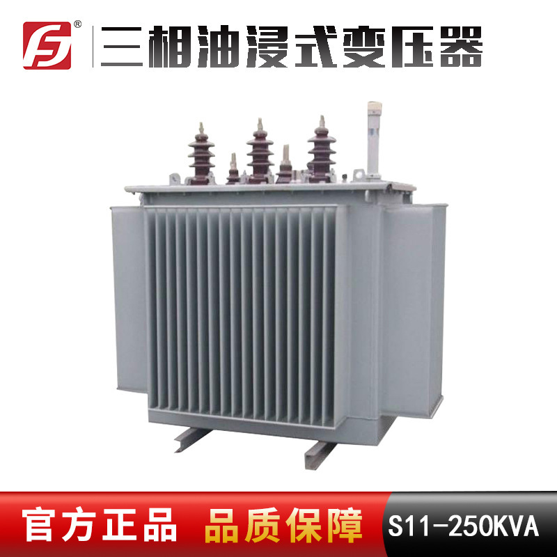 S11-250KVA 11/0.4KV 三相配电变压器 铜芯  油变  柱上变  三相油浸式变压器