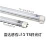 雷达感应LED日光灯T8  1.2米