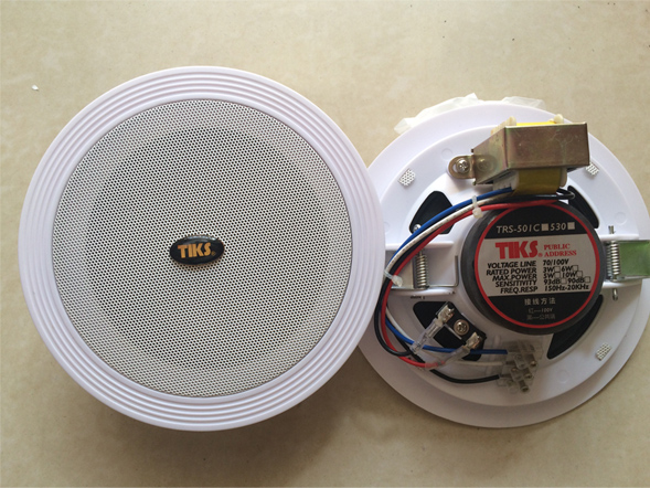 ABK欧比克6寸吸顶喇叭 8寸天花喇叭 屈臣氏专用 ABK 8寸吸顶喇叭 ABK 6寸天花喇叭 ABK同轴音箱