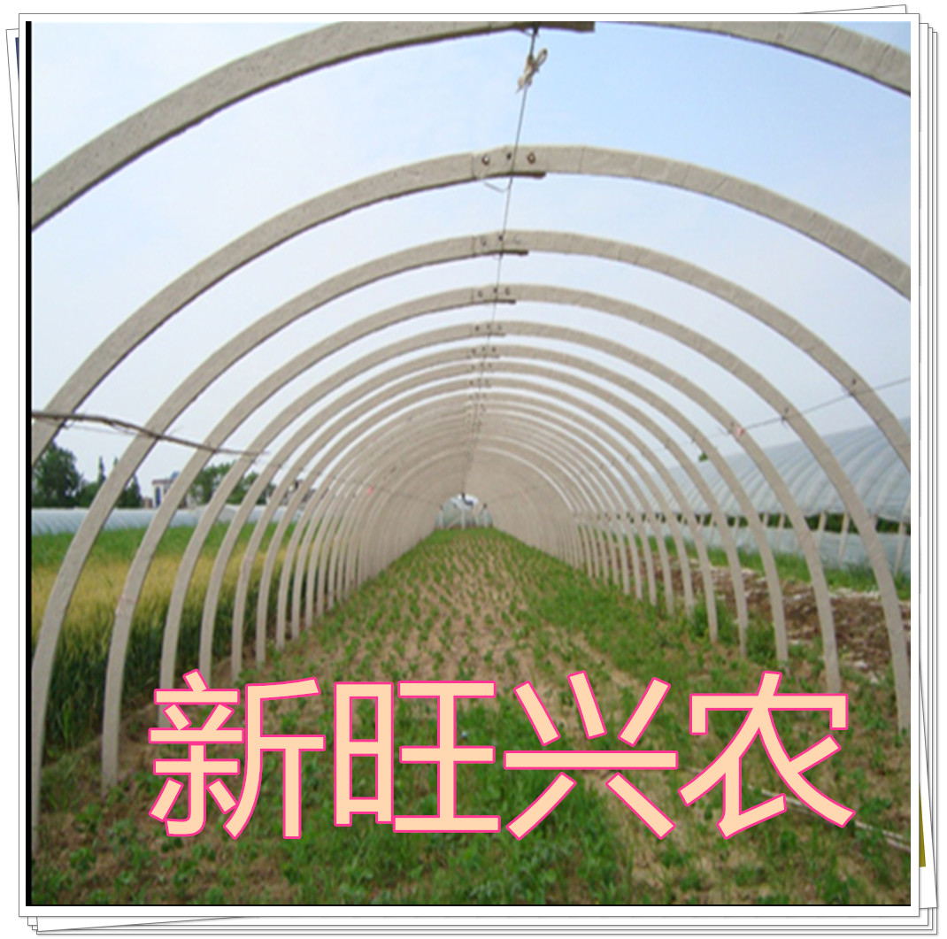 养殖大棚骨架  种植大棚  钢架大棚