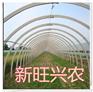 养殖大棚骨架