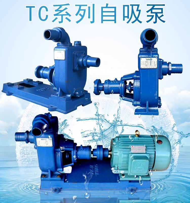 佛山水泵厂3KW抽水泵卧式自吸泵2TC-22  TC自吸泵  增压泵