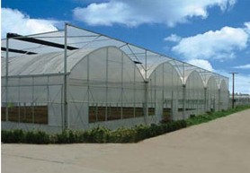 建造连栋温室大棚_靠谱的连栋温室大棚建造
