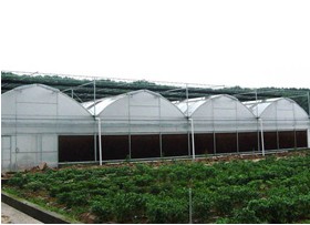专业建设智能连栋温室-高质量的连栋温室大  连栋温室大棚建造