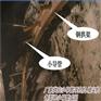 隧道预加固小导管打孔机漳州制造商