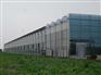 连栋温室行情-放心靠谱的连栋温室工程建造