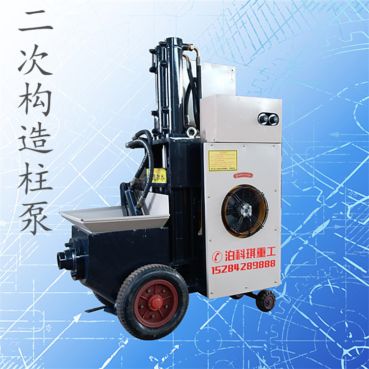 立式二次构造柱泵_邢台品牌好的哪里买，立