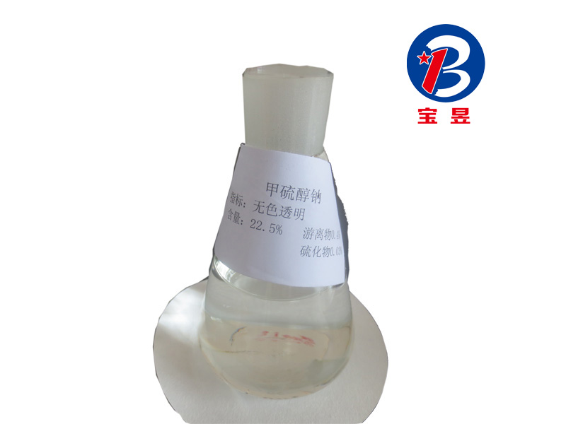 鲁鑫工贸_专业的瓶装甲硫醇钠厂家-甲硫醇  甲硫醇钠价格