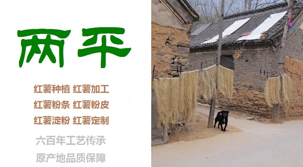 六盘水新鲜红薯粉皮生产企业