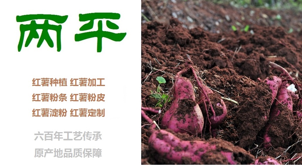 乌鲁木齐手工红薯粉条片状饼状