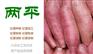 荆门新鲜红薯粉条交易平台