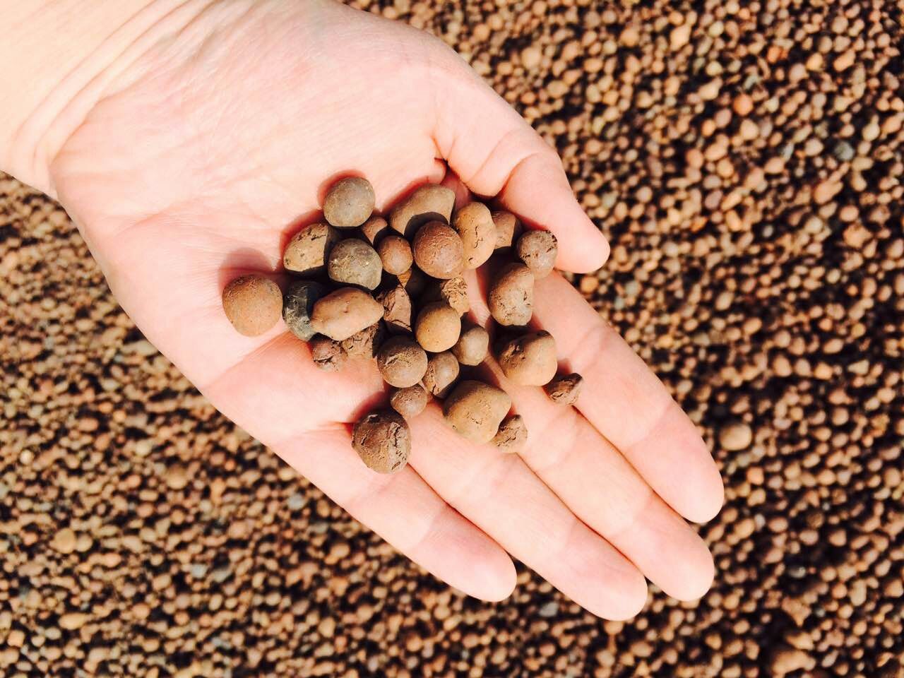 哪里有陶粒保温材料-具有口碑的陶粒保温材