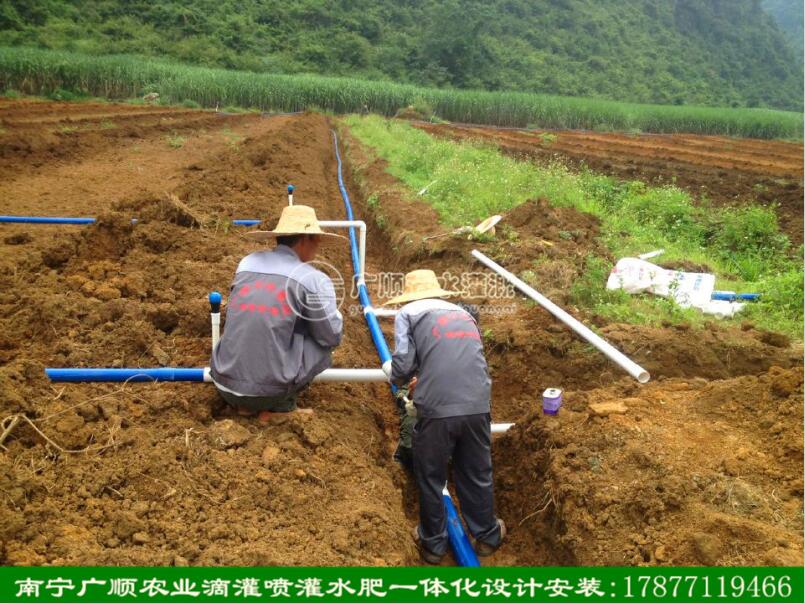 柳州节水灌溉系统安装-南宁专业的南宁滴灌  南宁滴灌管