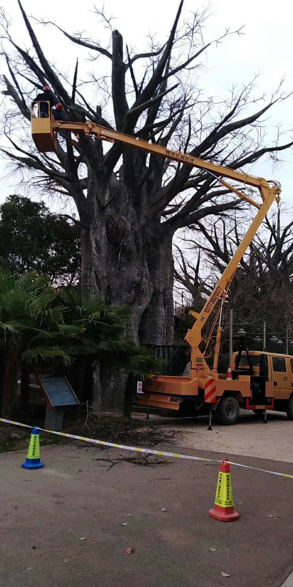 常熟路灯车出租 高空车出租出租价格  高空作业  修路灯  高空维修
