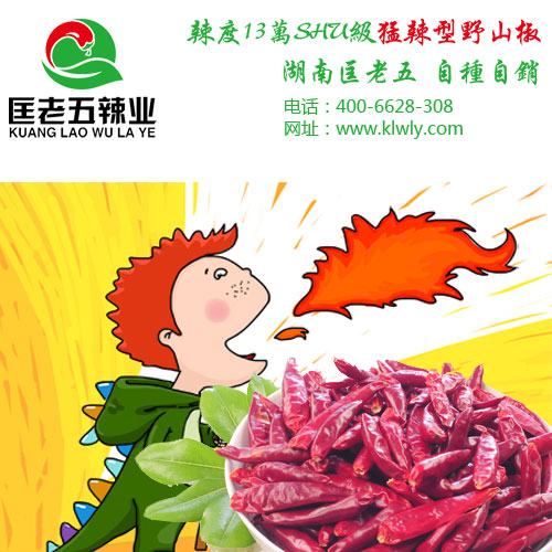干辣椒四大保存方法为你解决潮湿困扰－匡老五辣业