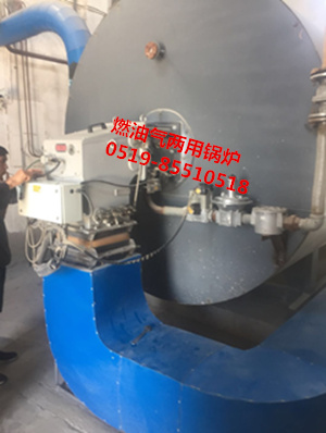 常州新北高效率能源设备生物质颗粒锅炉  燃气锅炉  导热油锅炉  红星加热炉