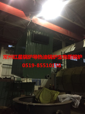 常州高效率生物质热能设备价格优惠  生物质锅炉  红星加热炉  燃气锅炉