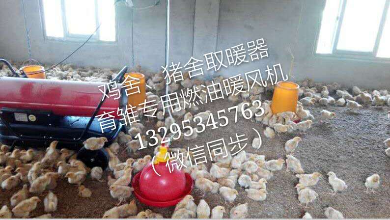 厂家直销环保型养殖育雏热风机全自动恒温控制  养殖热风机